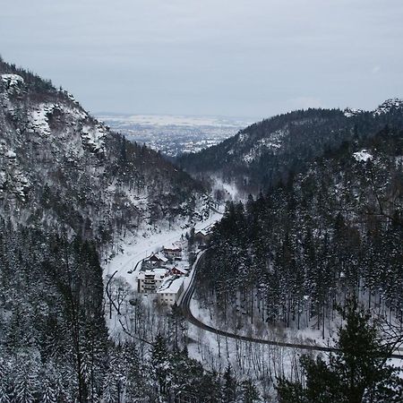Wohlfuehlzeit Im Zittauer Gebirge Apartment Ngoại thất bức ảnh