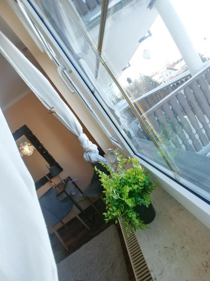 Wohlfuehlzeit Im Zittauer Gebirge Apartment Ngoại thất bức ảnh