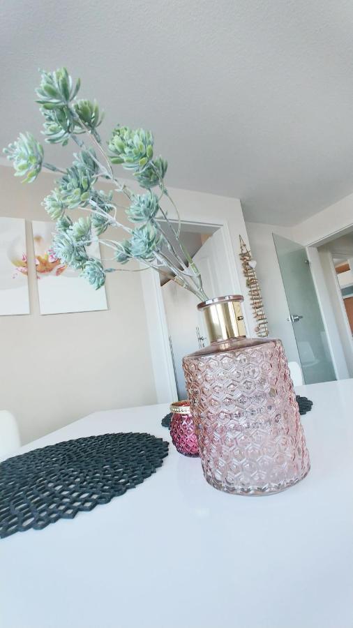 Wohlfuehlzeit Im Zittauer Gebirge Apartment Ngoại thất bức ảnh